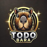 ToDoBara
