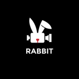 RABBIT FILM 🎬