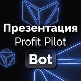 Презентация Profit Pilot
