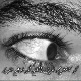 تواصل مع ~ 𝖺𝗅𝗂 𝖺𝗅-𝟕𝟐