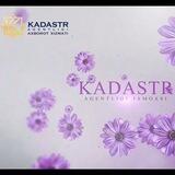 Kadastrayoli