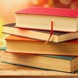 Книжный Вор