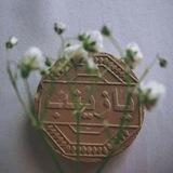 بوت تواصل 🌱