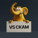 VS СКАМ