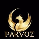 Parvoz kanali uchun