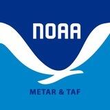 METAR & TAF