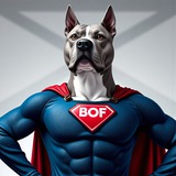 BOF I Сontract Scanner