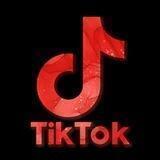 Tiktok downloader