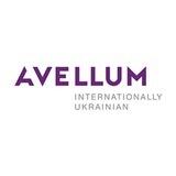 @avellum_career_bot