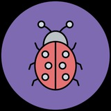 Жук 🐞 VPN