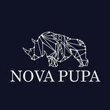 Nova Pupa Airdrop