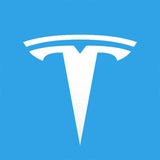 Go Tesla Bot