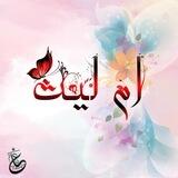 غايتنا مهدوية -ام ليـث-
