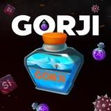 Хилься боттлом Gorji