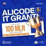 Alicode IT Granti