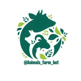 Animals Farm