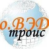 оВЭДтроис