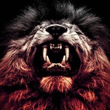 خدمات الوحش