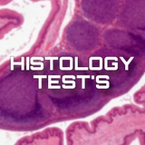 Histology Test's Bot
