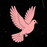Kinky Doves - БДСМ Знакомства