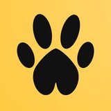 🐾 Скидки для питомцев ❤️