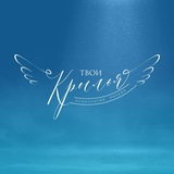 WingsPay