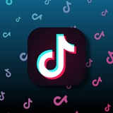TikTokUpdatez support