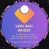 👑 LeDi Bag | INVEST 👑