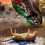 إبُنْ آلُشُجآعٌيُة - -╾━╤デ╦︻🤍😊