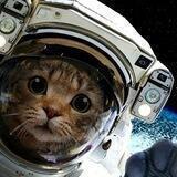 catBotSirius