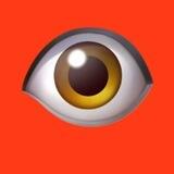 PINTEREST DOWNLOAD