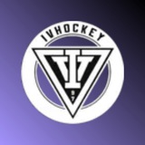 IVHOCKEY Bot