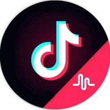 Скачать ТикТок Рилс Шортс