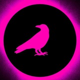 Crow $TON