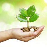 بوت التبرعات 🌱