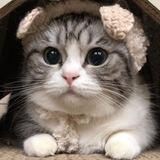Скидки на рекламу в @Komaru