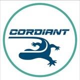 CordiantGame
