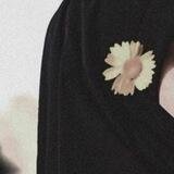 الشاعرة نور الحسناوي✍🏻❤