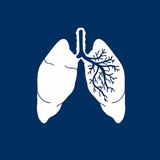 Krd_Stop_Nicotine