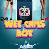 Wet Cams Bot