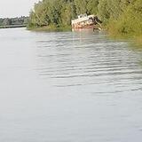 Тут геи без мамные