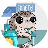 Премиум клуб checkintime