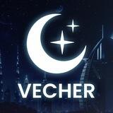 VECHER BY CPA BRO | 25.02