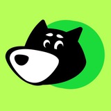 Dogeflat