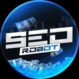 SEO ROBOT