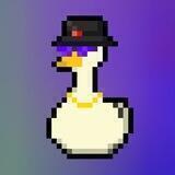 BOT TON Ducks