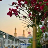 ياعلي.