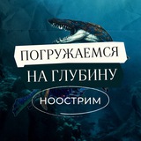 ПОГРУЖАЕМСЯ 🌊 | НООСТРИМ