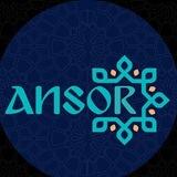 ANSOR MARG'ILON HR BOT