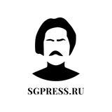 Предложка «Самарской газеты»